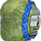 Organic Iceberg Lettuce, 1 Each