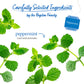 Bigelow Tea Peppermint Herbal Tea, Caffeine Free, 20 Count, Pack of 6