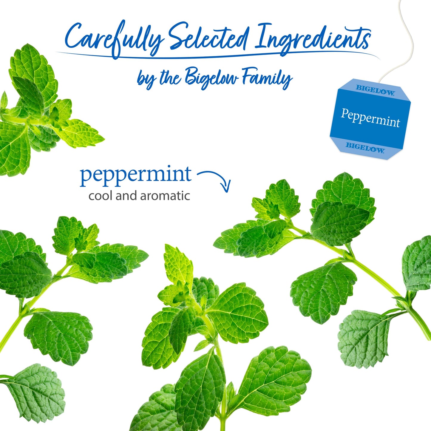 Bigelow Tea Peppermint Herbal Tea, Caffeine Free, 20 Count, Pack of 6