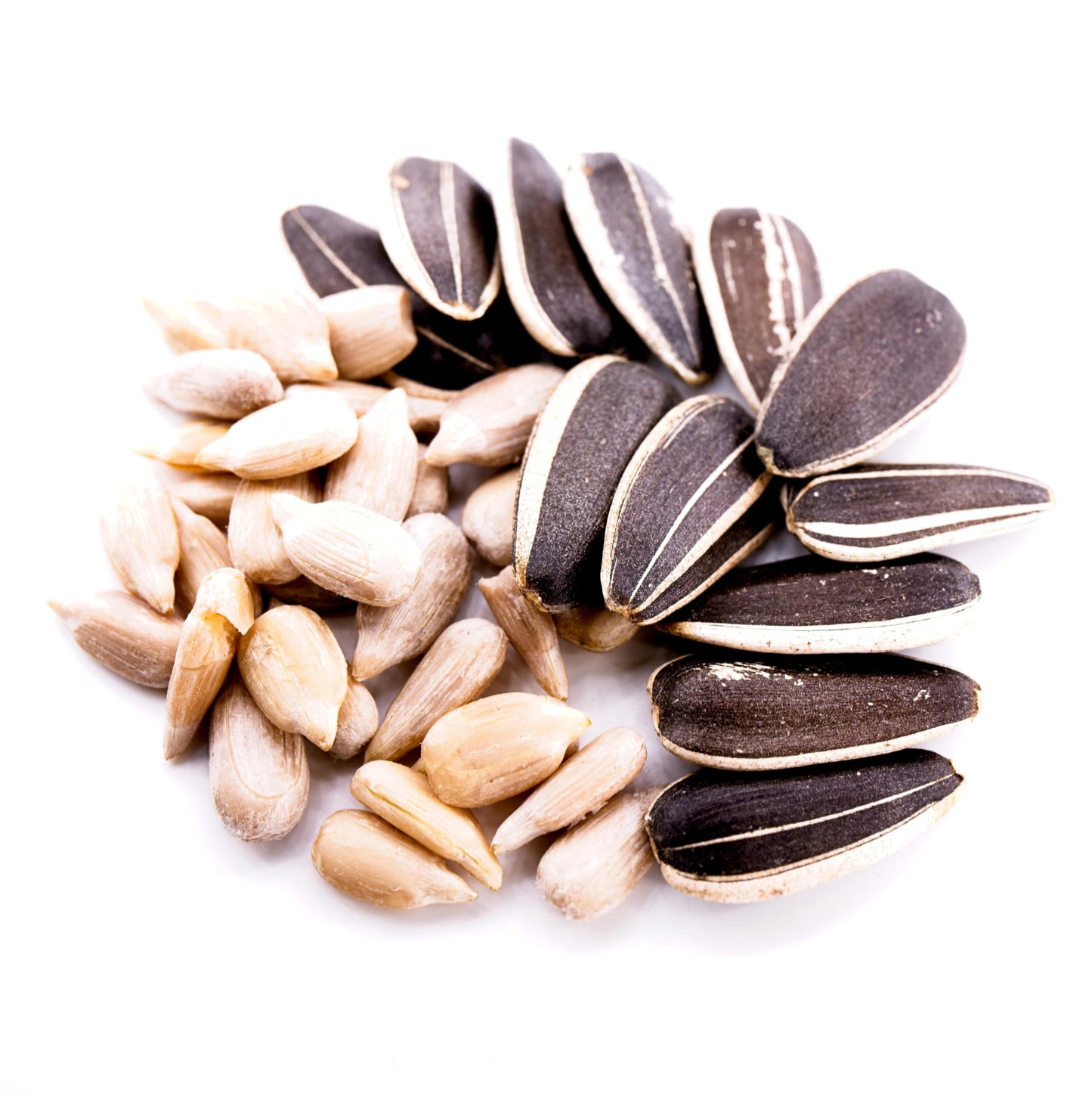 Crazy Nuts | Usa Grown Raw Sunflower Seeds In Shell, 5Lb | Sunflower Seeds To Eat, Unsalted Sunflower Seeds, Semillas De Girasol