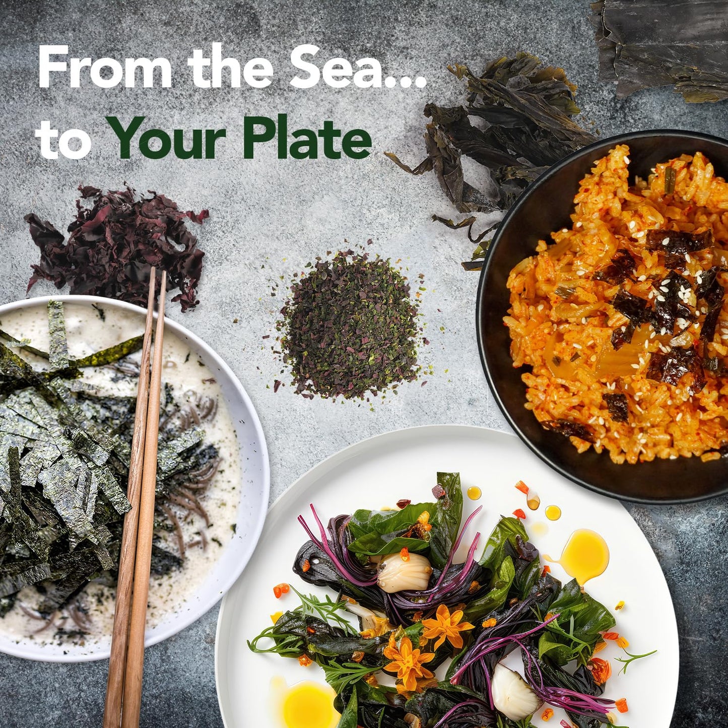 VITAMINSEA Bladderwrack Dried Sea  for Snacking & Seasoning | 4 oz Whole Leaf