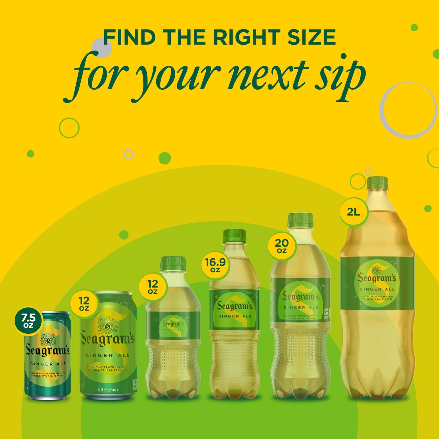 Seagrams Ginger Ale  7.5 fl oz  6 Count