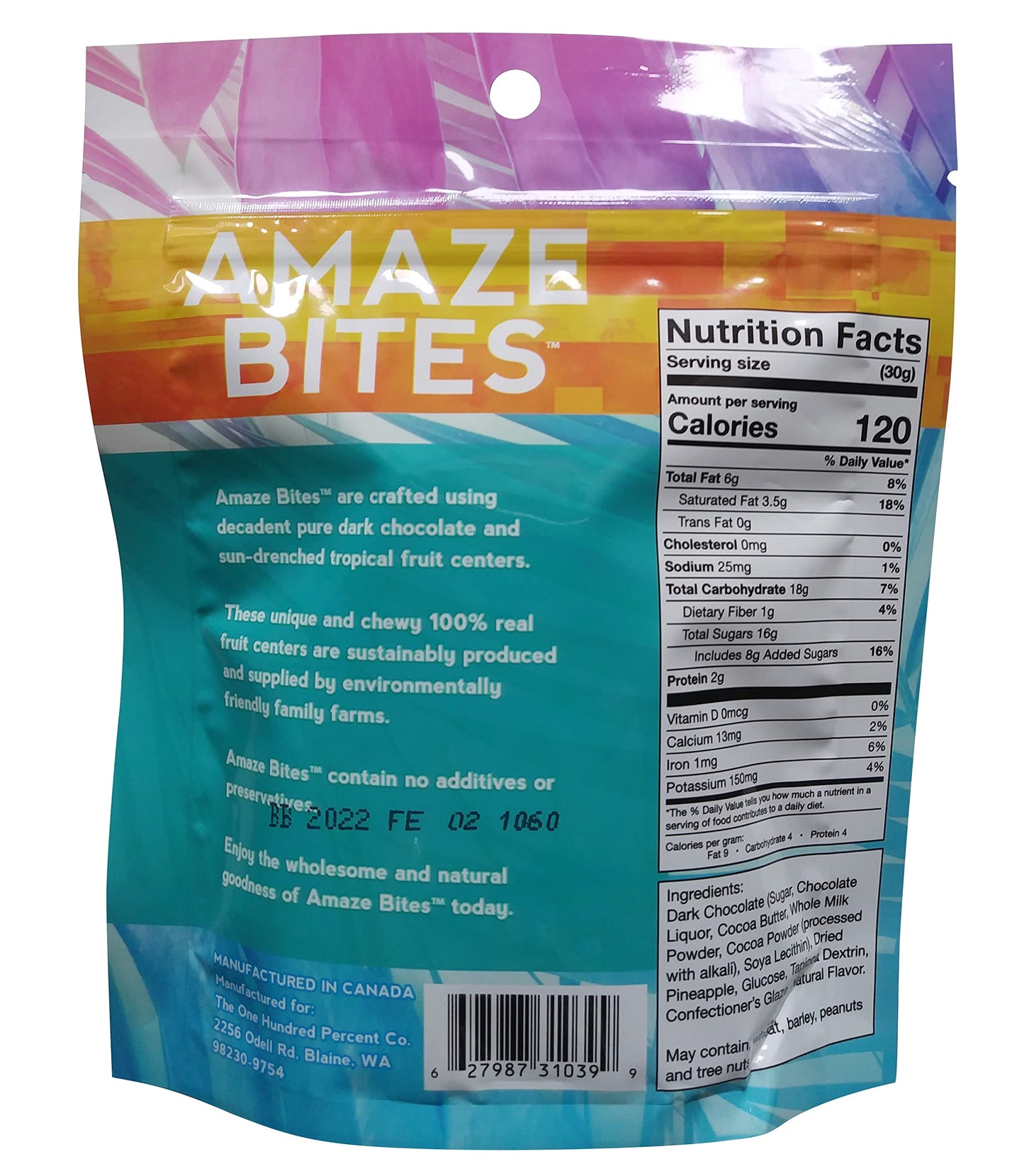 Amaze Bites - Chocolate & Fruit Like Never Before. 100% Real Fruit Covered With Decadent Dark Chocolate (3.5 Oz) (Pineapple)