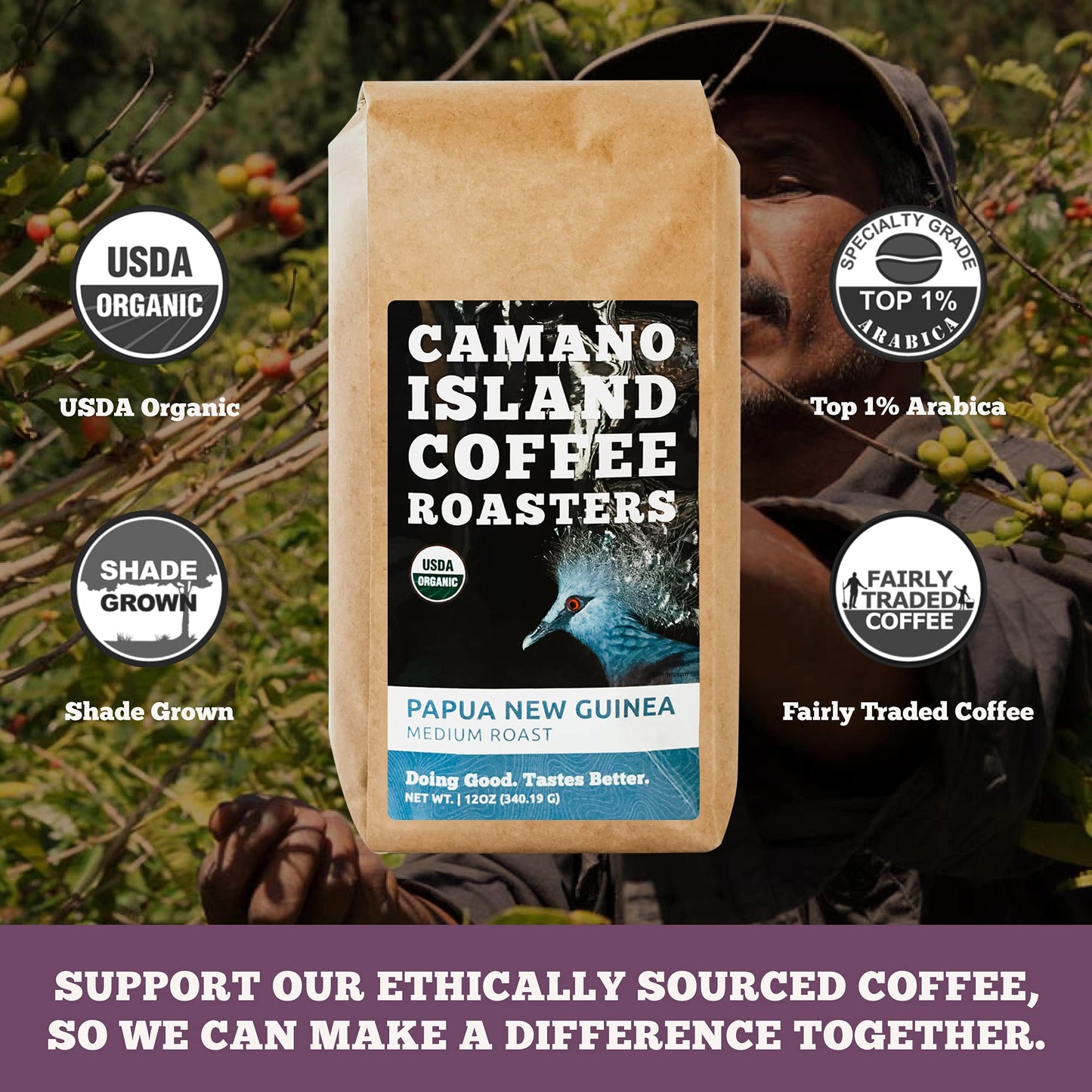 Camano Island Coffee Roasters Papua New Guinea Whole Bean 12Oz Fresh Medium Roast, Usda Organic, Fairly Traded, Shade Grown Top