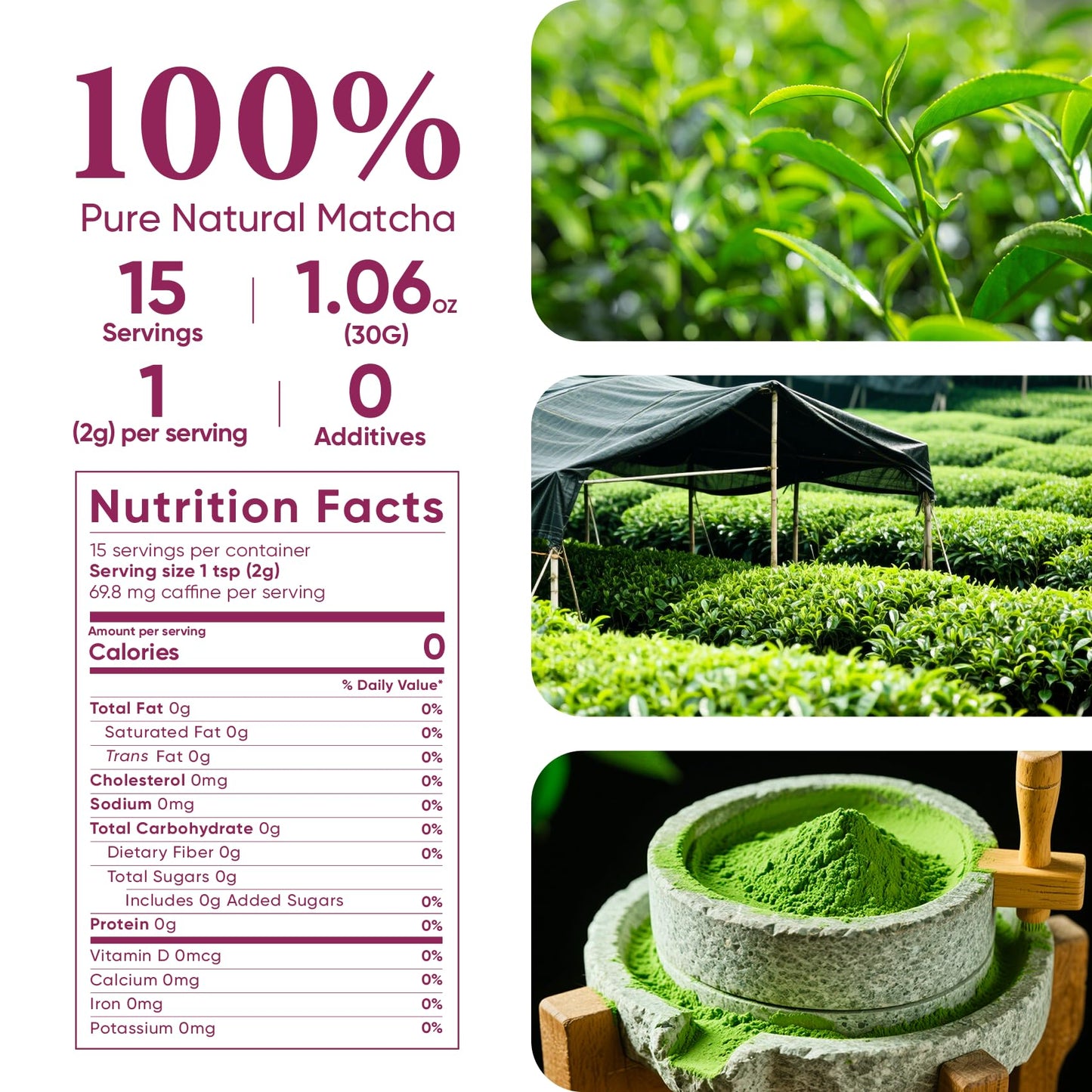 Venture Pal Matcha Powder VP205-R3