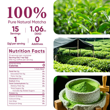 Venture Pal Matcha Powder VP205-R3