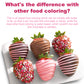 Oil Based Food Coloring - 10 Colors Upgraded Food Coloring For Chocolate, Ercorart Edible Oil Food Dye For Candy Melts, Cake Dec