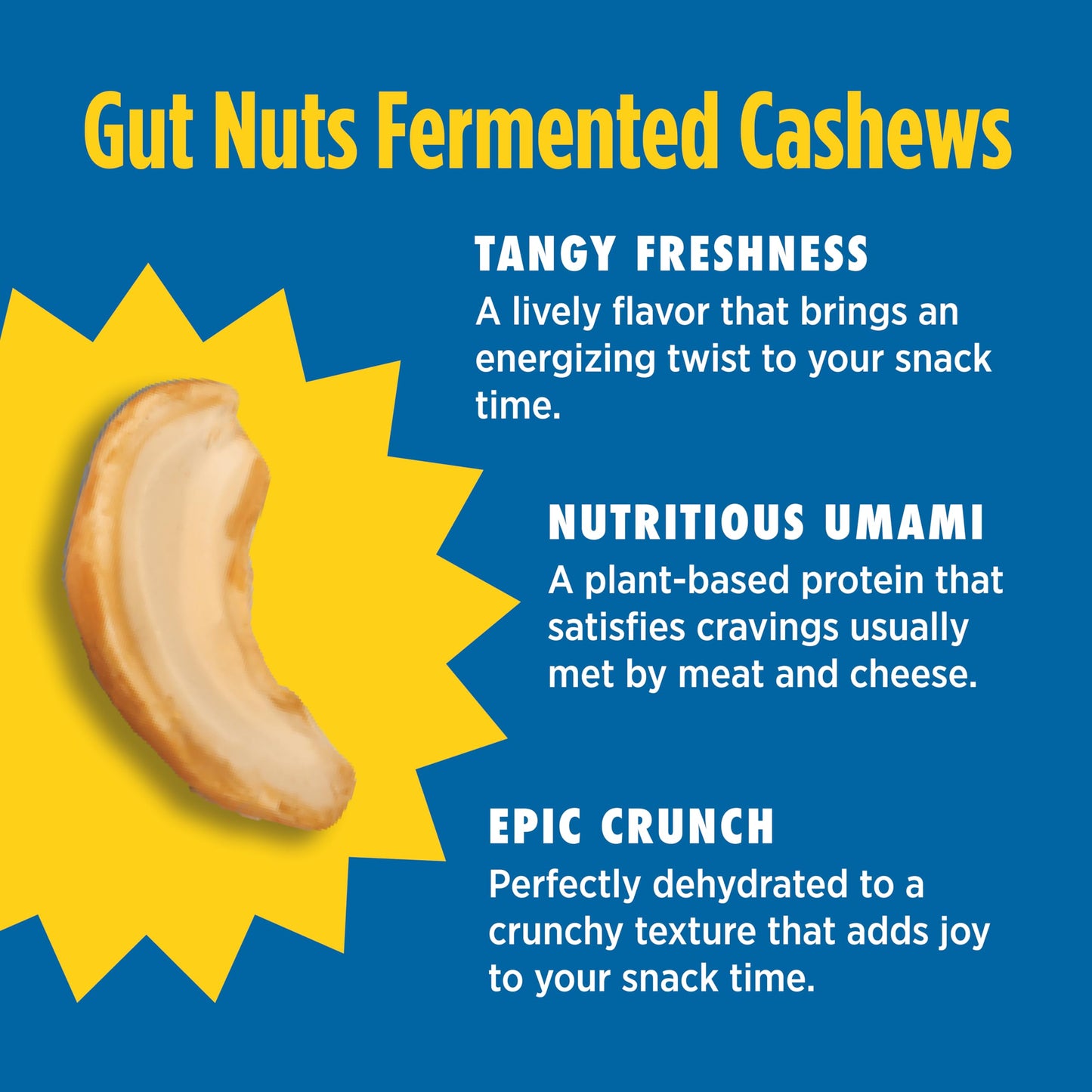 Philosopher Foods Gut Nuts - Fermented Sourdough Almonds - 3 oz - Low Carb Keto Snack
