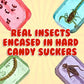 HotLix Insect Lollipops (4-Pack) | Includes Scorpion  Worm  Ants  Cricket | Bug Candy Suckers Individually Wrapped | Bug Lollipops with Real Edible Insects | Weird Candy Pack