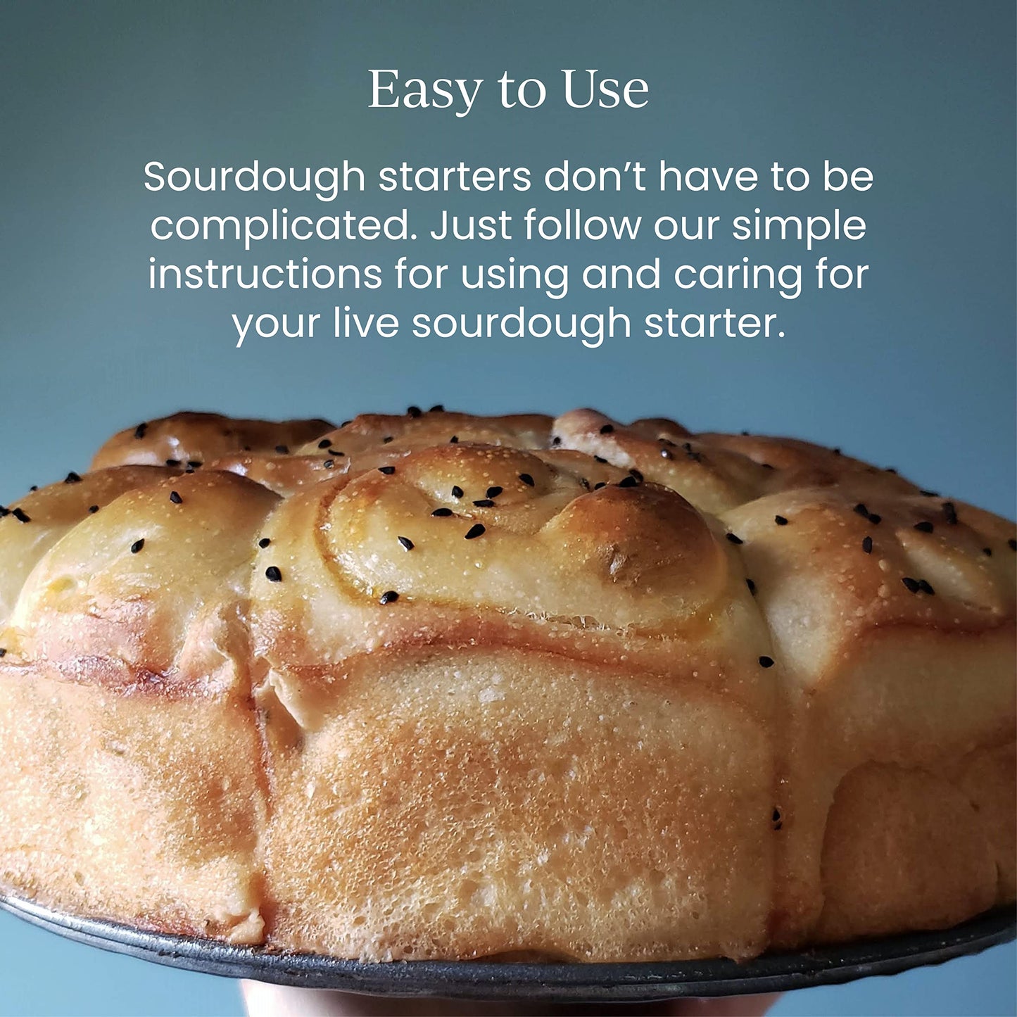 Breadtopia Live Sourdough Starter | Organic Non-GMO | Active, Ready to Use | 1.23 Ounce