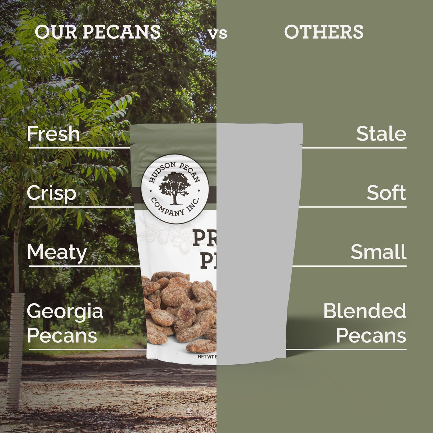 HUDSON PECAN COMPANY: Praline Roasted Georgia Pecans | Candied Gourmet Delight, Irresistible Southern Sweetness (Perfect for Sna