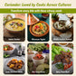 Spice Profile USDA Organic Coriander Seeds  Lab Tested for Heavy Metals  Resealable 4oz Pouch  Dhaniya  Semillas de Cilantro
