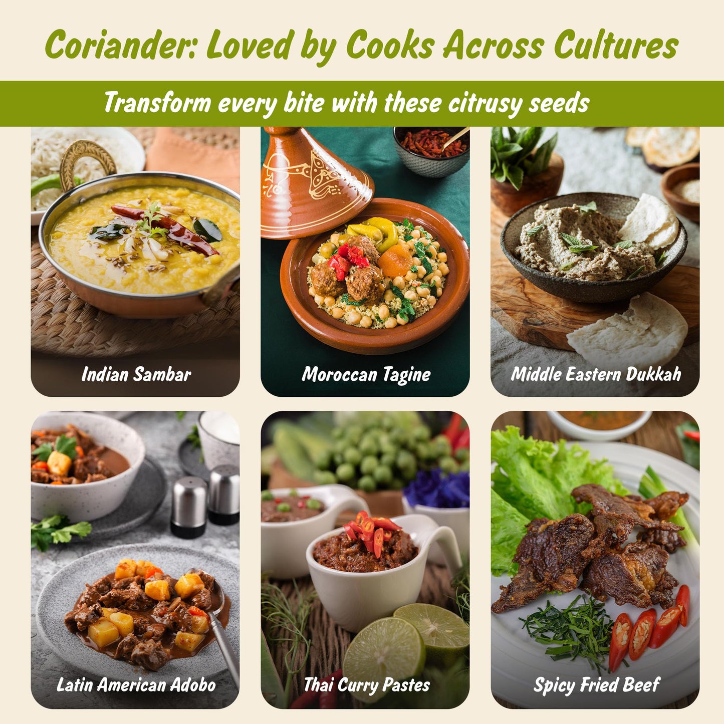 Spice Profile USDA Organic Coriander Seeds  Lab Tested for Heavy Metals  Resealable 4oz Pouch  Dhaniya  Semillas de Cilantro