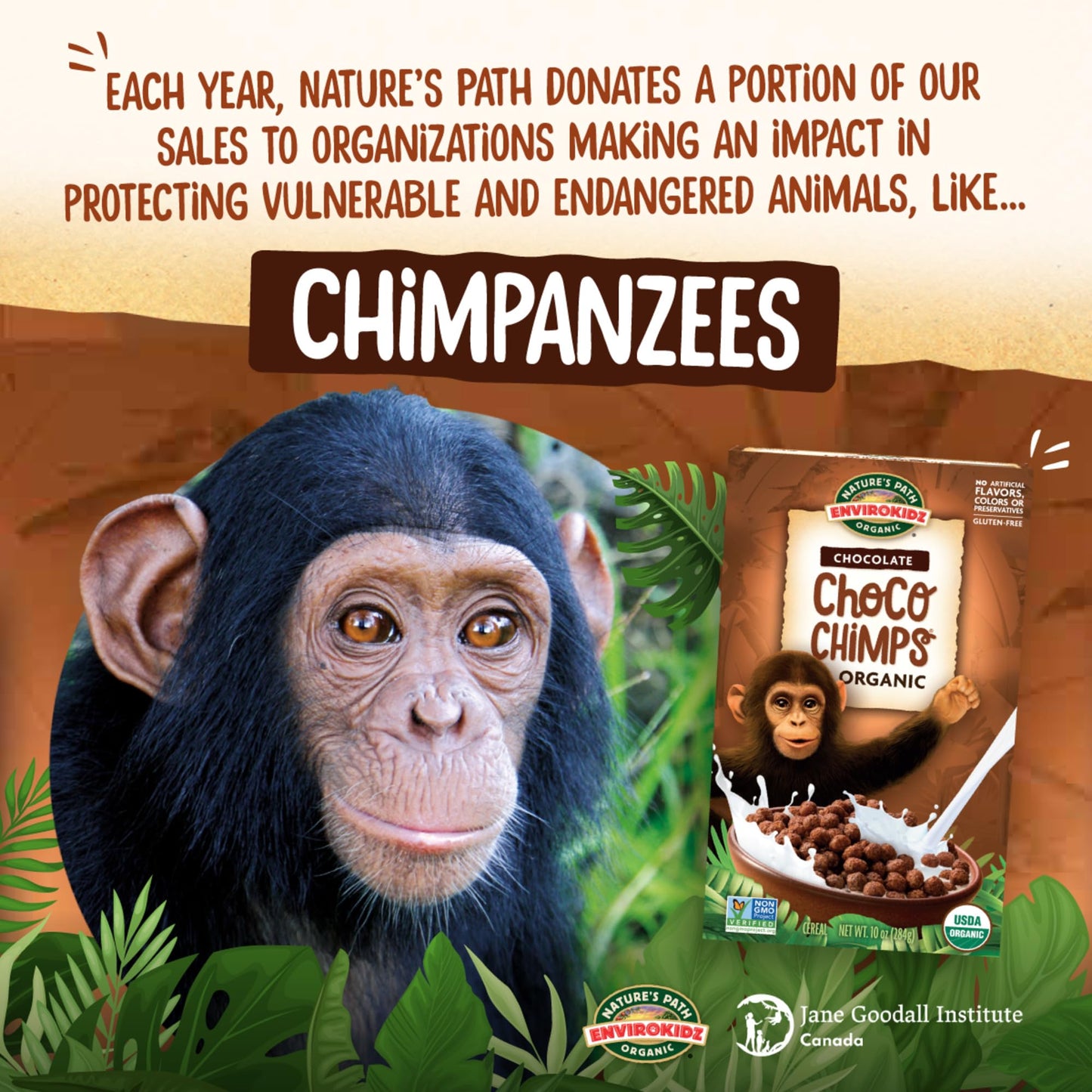 Envirokidz   Organic Gluten-Free Cereal, Chocolate Choco Chimps, 10 Ounce Box