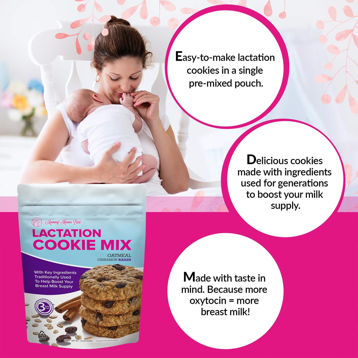 Mommy Knows Best Lactation Cookies Mix Oatmeal Cinnamon Raisin 1 Pound