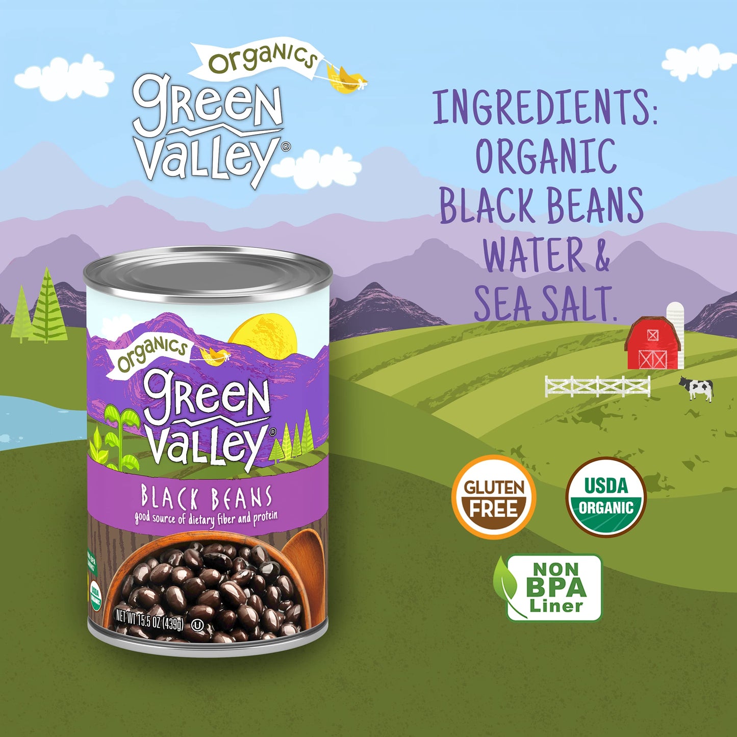 Green Valley Organics Black Beans | Certified Organic | Deliciously Tender, Creamy & Mild | Deep Dark Skin | Good Source Of Diet