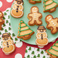 Wilton Red and Green Cookie Icing Set, 2 Count (Pack of 1)