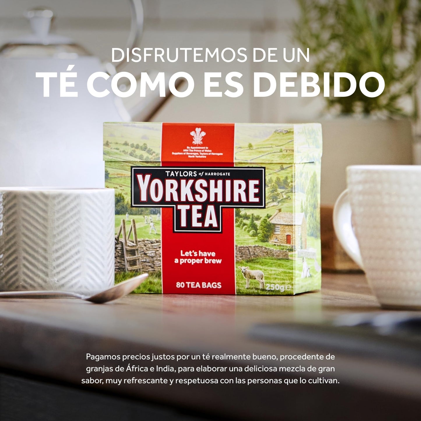Yorkshire Tea Taylors of Harrogate Yorkshire Red Tea, 240 Teabags, Pack of 1, 240 Count