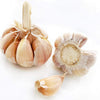 Fresh Garlic Cloves ( Imperfect Bulbs ) - 2 Lb
