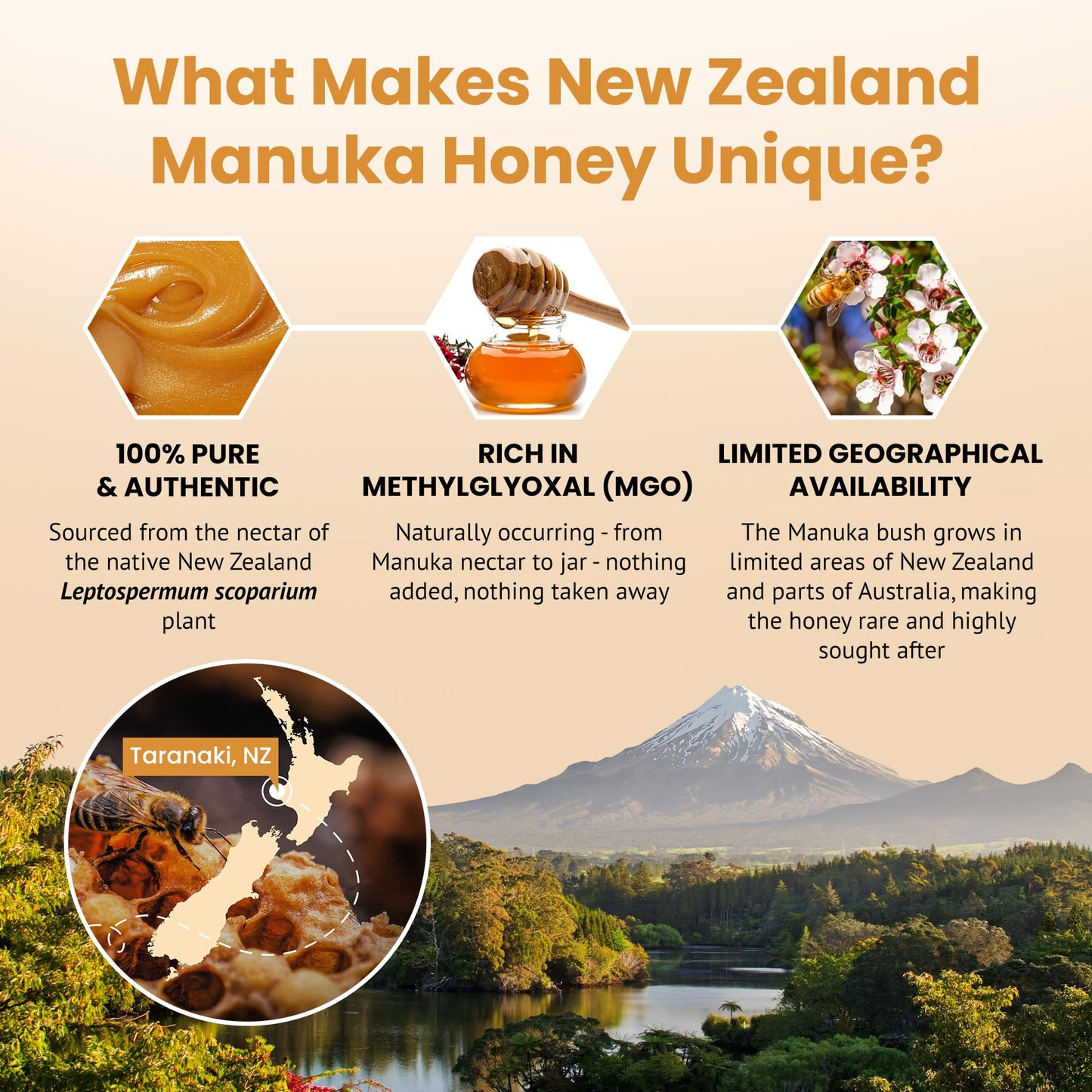 Bees & Trees New Zealand Manuka Honey 550+ and 350+ MGO - Pure, Raw, Unpasteurized Monofloral Superfood Honey for Wellness & Vit