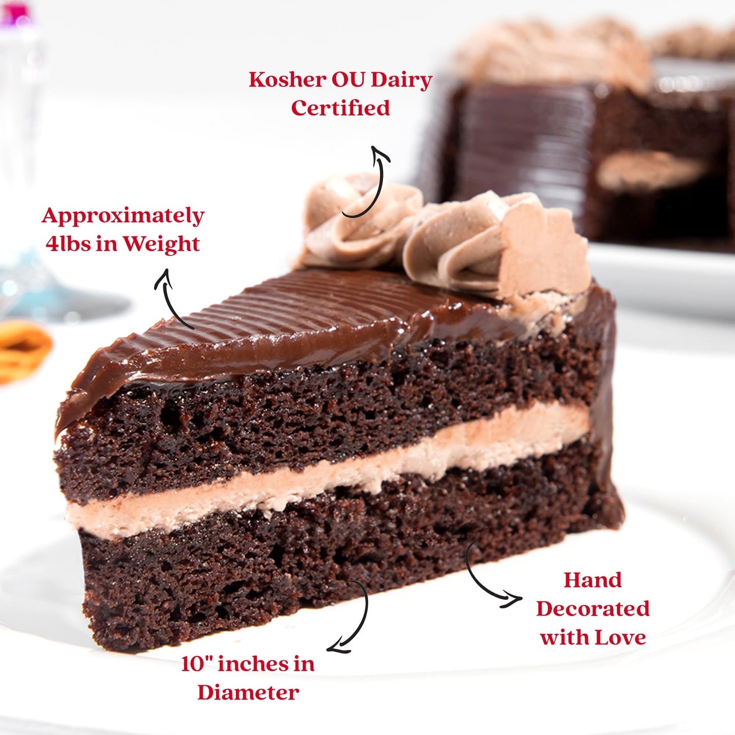 DAVIDS COOKIES Chocolate Fudge Cake - 10 Inch Birthday Cake for Delivery