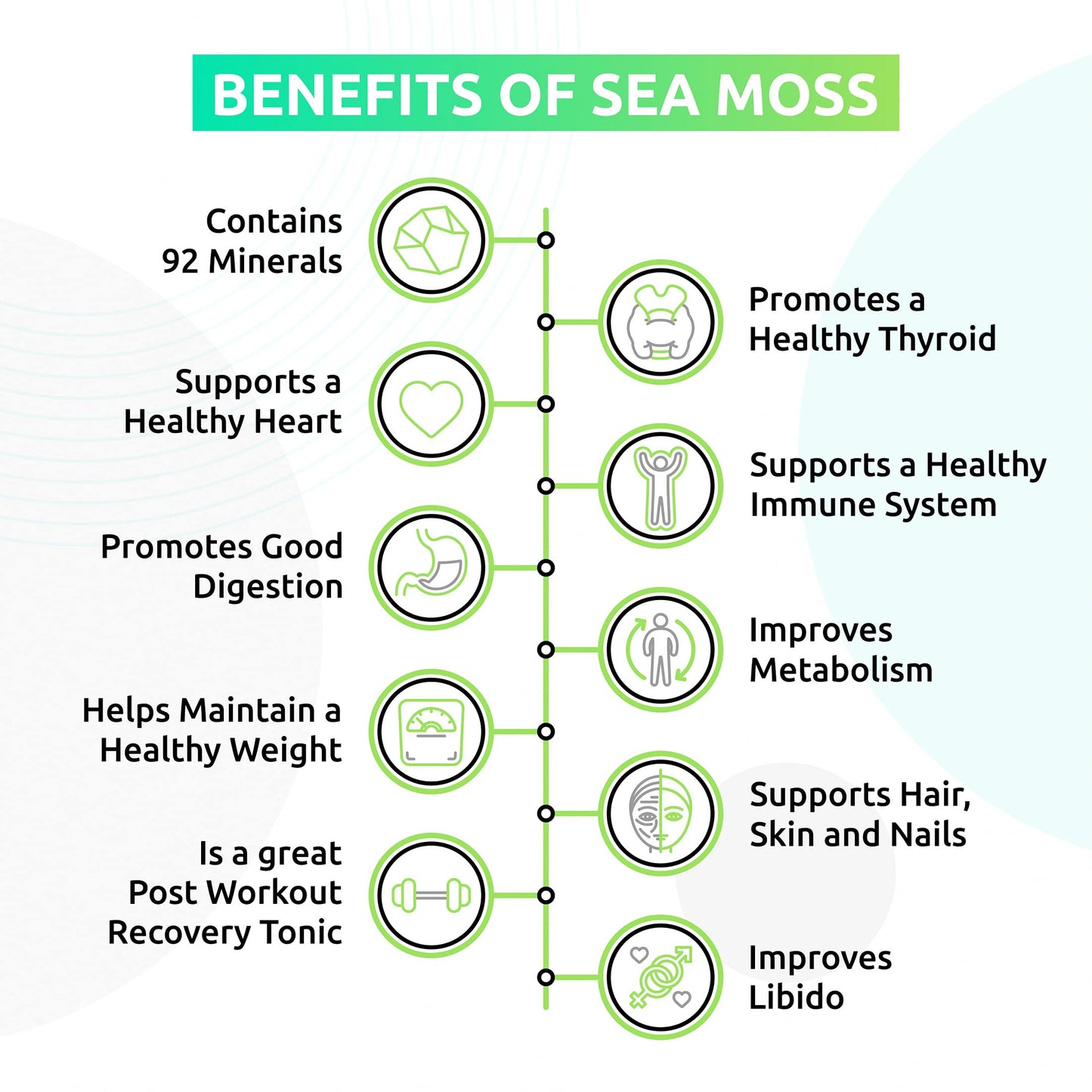 TrueSeaMoss Sea Moss Gel - Made in USA - Wildcrafted Seamoss, Dried Seaweed & Jarred Vegetables - Original, Pack of 1 (Labels ma