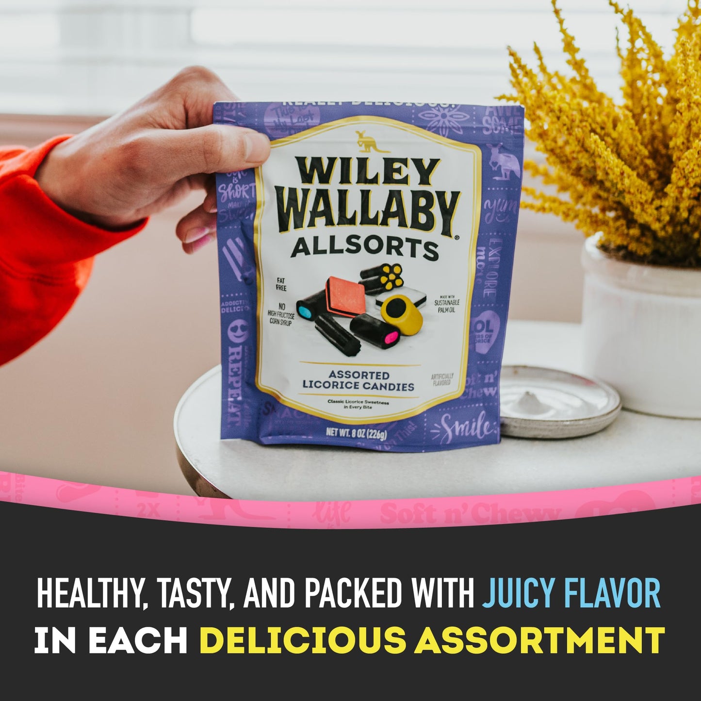 Wiley Wallaby 8 Ounce Allsorts Gourmet Australian Style Soft & Chewy Assorted Licorice Candy (3 Pack)