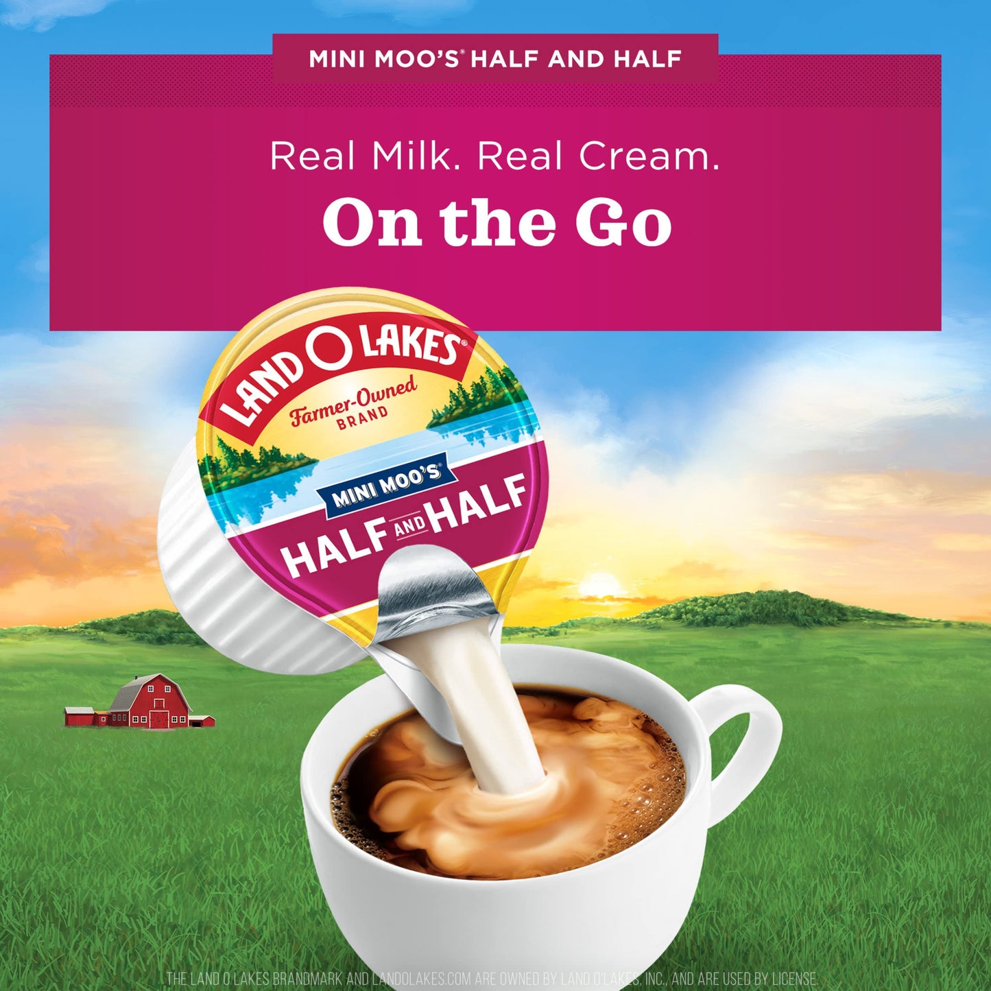 Land O' Lakes Mini Moo’S Half & Half Creamer Singles, Shelf-Stable, 48 Count (Pack Of 4)