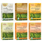 Uncle Lees Organic Chai Tea Variety Pack – 6 Assorted Caffeine-Free & Caffeinated Bags, 108 Total Tea Bags