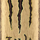 Monster Energy Java Monster Coffee + Energy Drink, 15 oz, 12 Pack, Yellow, Model 070847831037