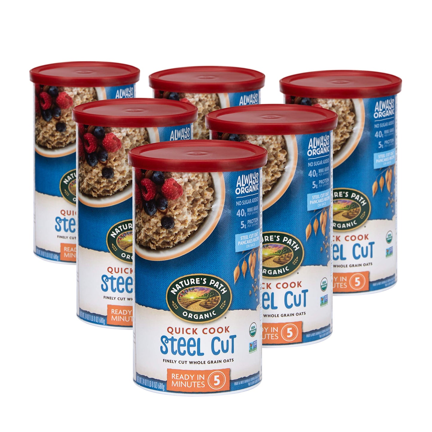 Nature s Path Organic Quick Cook Steel Cut Oatmeal, 24 oz (Pack of 6), Non-GMO