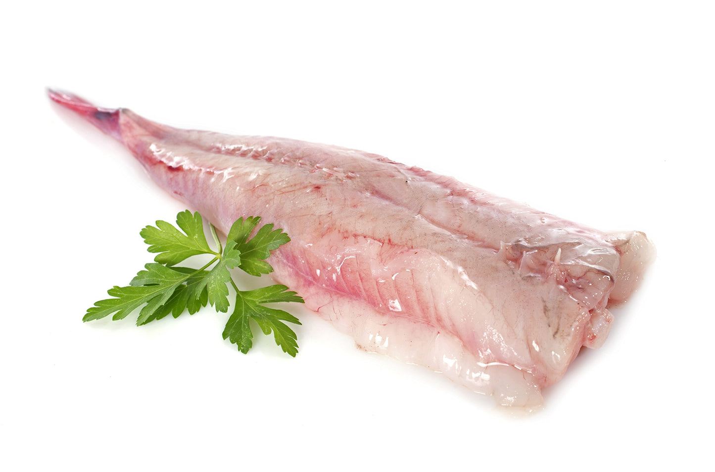 Fresh Monkfish Fish Fillet | 7 lbs (14 pcs) | Premium Seafood | Boat-to-Table | Healthy Meals