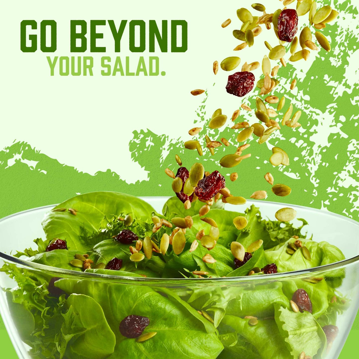 naturSource Salad Topper Smart Life - Salad Toppings, Salad Mix, Salad Toppers Seeds and Cranberries, Crunchy, Mixed Seeds for S