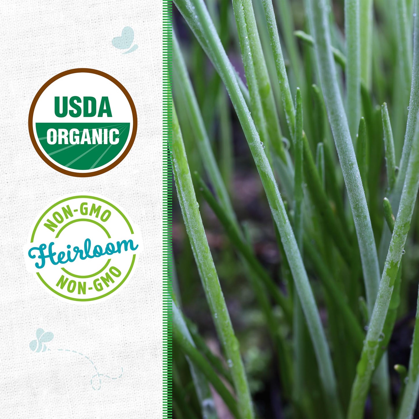 Seed Packet - Chives 'Garlic' 140Mg