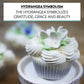 Global Sugar Art Hydrangea Blossom Edible Sugar Cake Flowers, Unwired, White, 144 Count By Chef Alan Tetreault