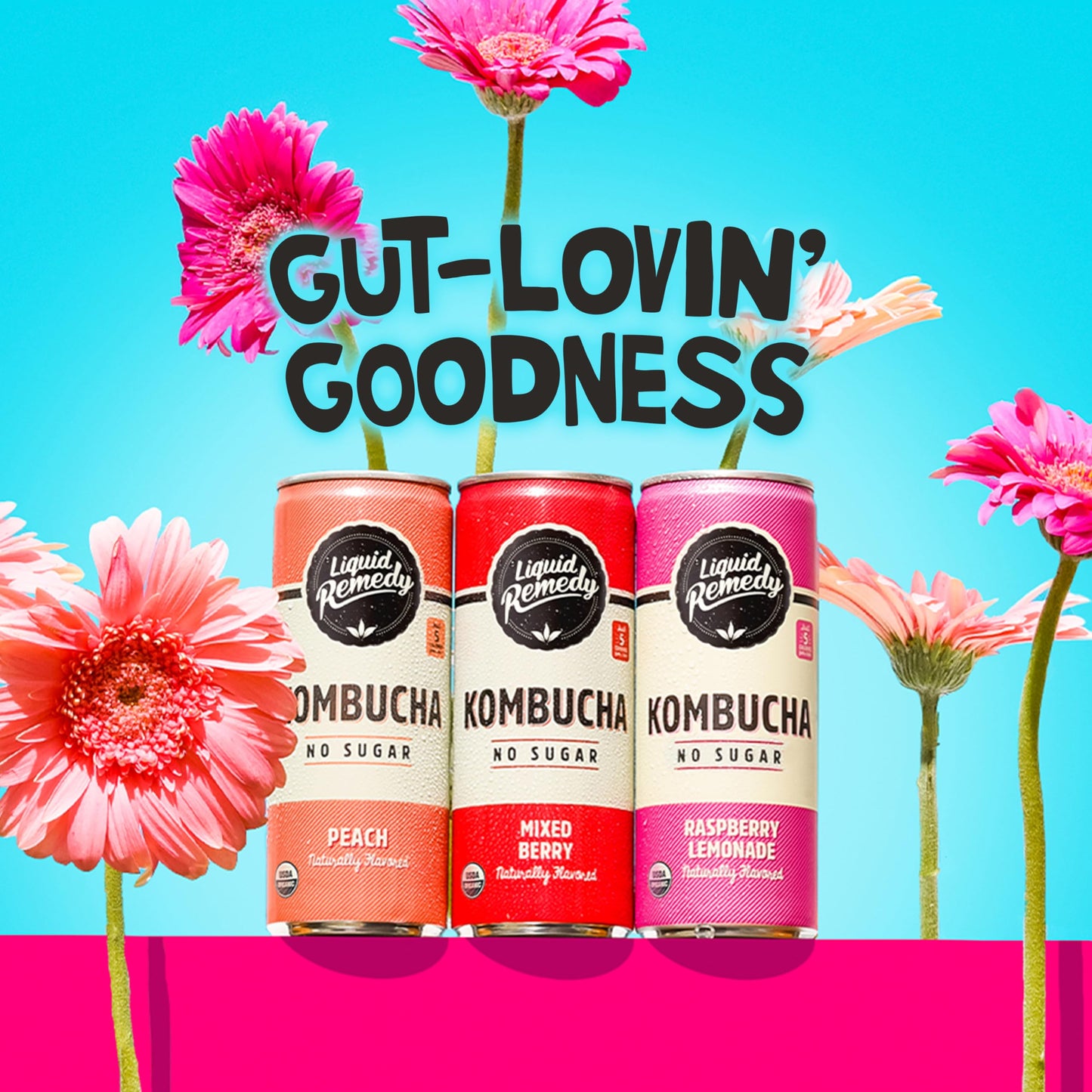 Liquid Remedy Kombucha Sugar Free Organic Drink, Low Calorie, Probiotic Like Tea For Gut Health - Fruity Faves Variety Pack - 8.
