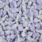 Smarty Stop Salt Water Taffy Every Color (Purple Grape, 1 Pound (Pack of 1))