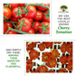 Frantoi Cutrera - Pomodorino Semi Secco - Semi-Dried Cherry Tomatoes In Extra Virgin Olive Oil, Product Of Italy, 6.7Oz