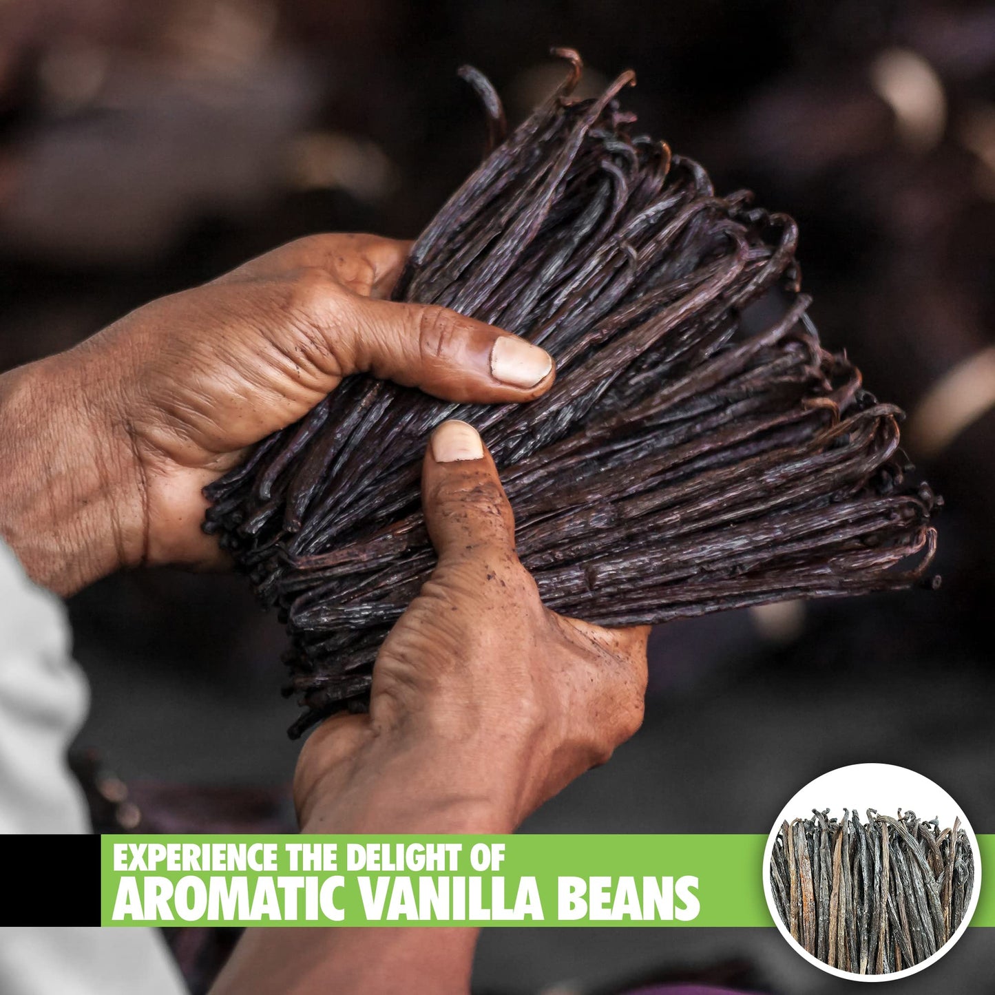 FITNCLEAN VANILLA Organic Madagascar Vanilla Beans Extract Grade B, 26 Count, 4.5-5.5, Non-GMO, USDA Certified