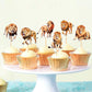 Ercadio 24 Pack Lion Cupcake Toppers Lion Cupcake Picks Animal Cupcake Picks Lion Birthday Cupcake Decorations For Baby Shower B
