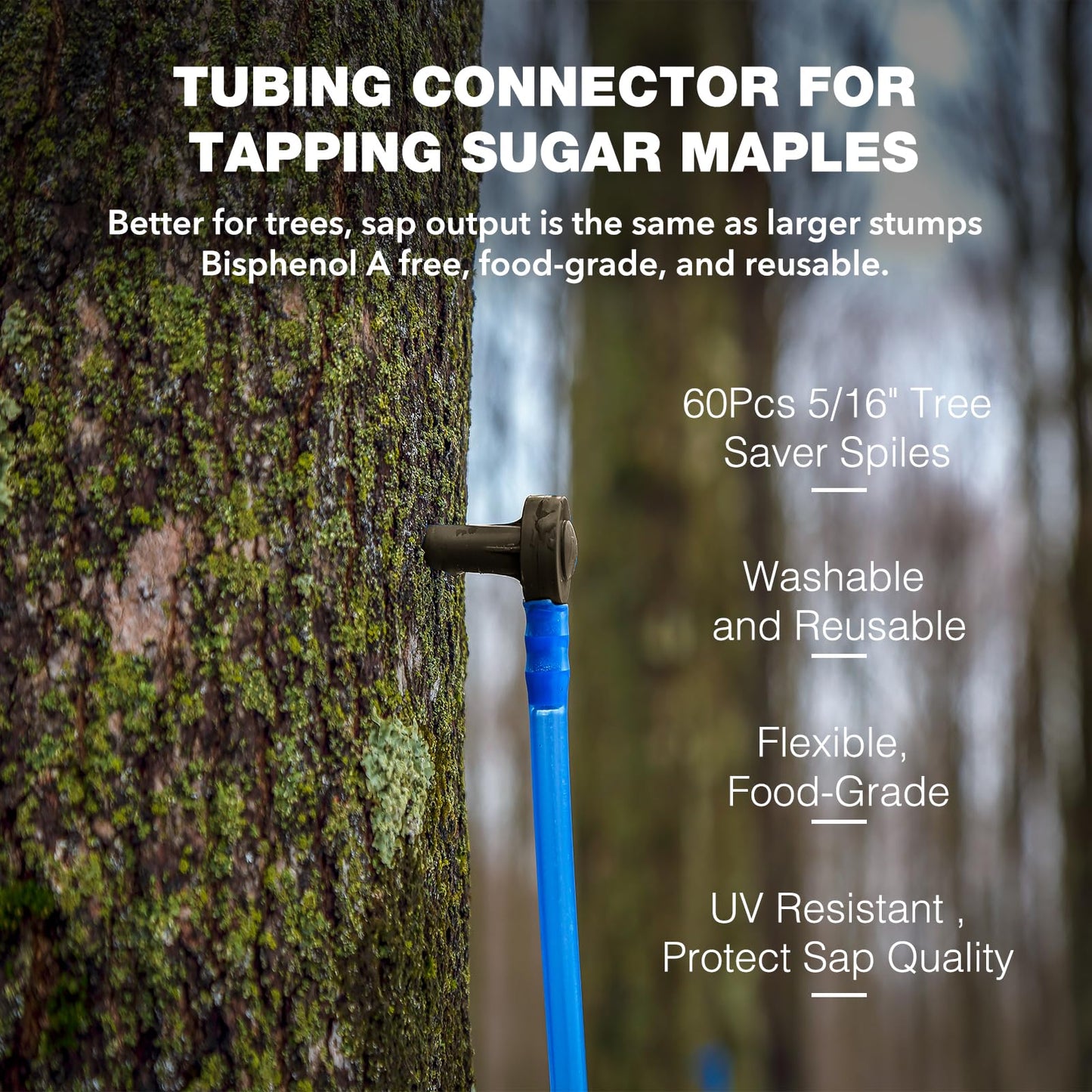 LIIZOUSUDA 60 Pieces Black Maple Sap Spiles, 5/16 Tree Taps for Maple Syrup, Tapping Kit for Beginners and Experts