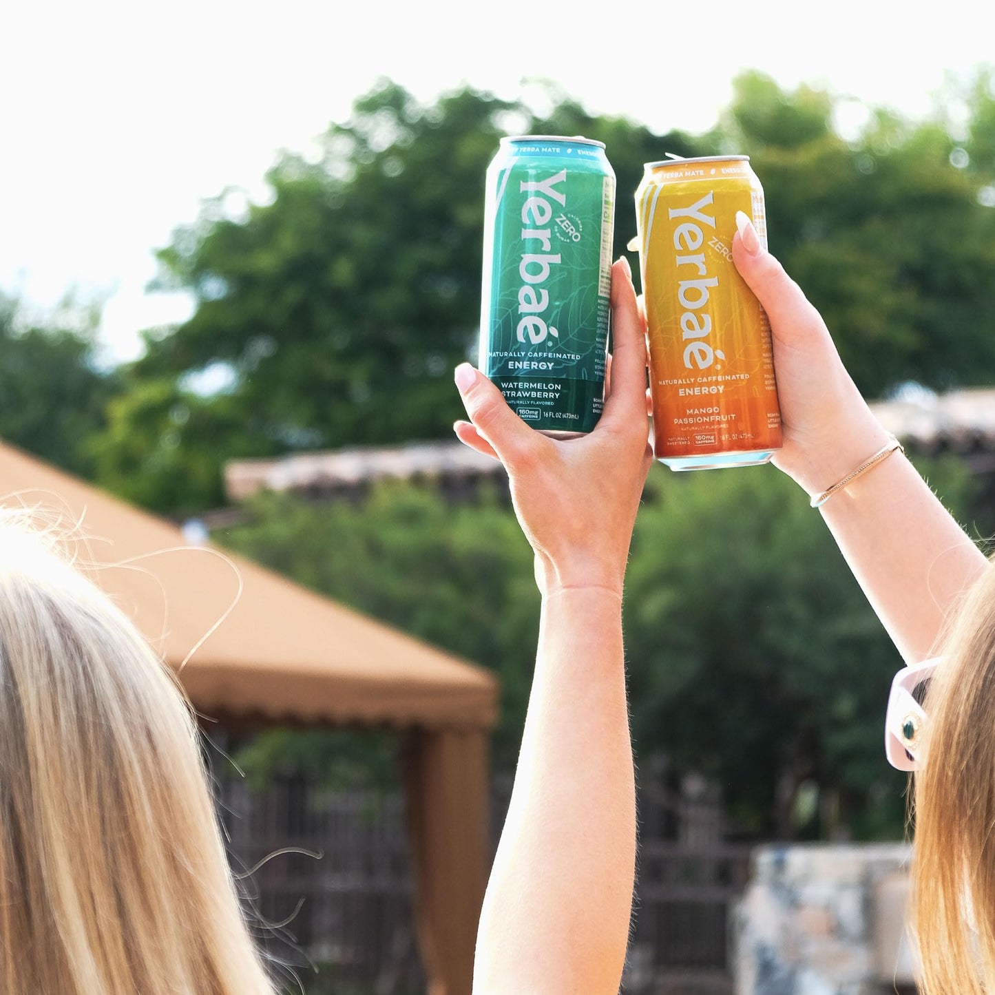 YERBAÉ Yerbaé Variety Flex Pack - Functional Energy Drink, 0 Sugar, 0 Calories, 16oz (Pack of 12), Assorted Flavors