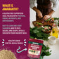 Amaranthy Amaranth Grain - High Protein - High Fiber - Gluten Free (1 Bag 8 Oz.)
