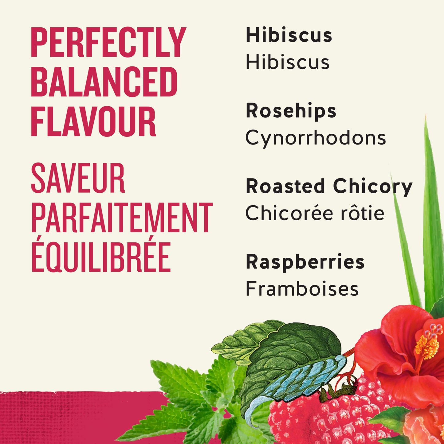 Celestial Seasonings Tea Zngr Rspbry