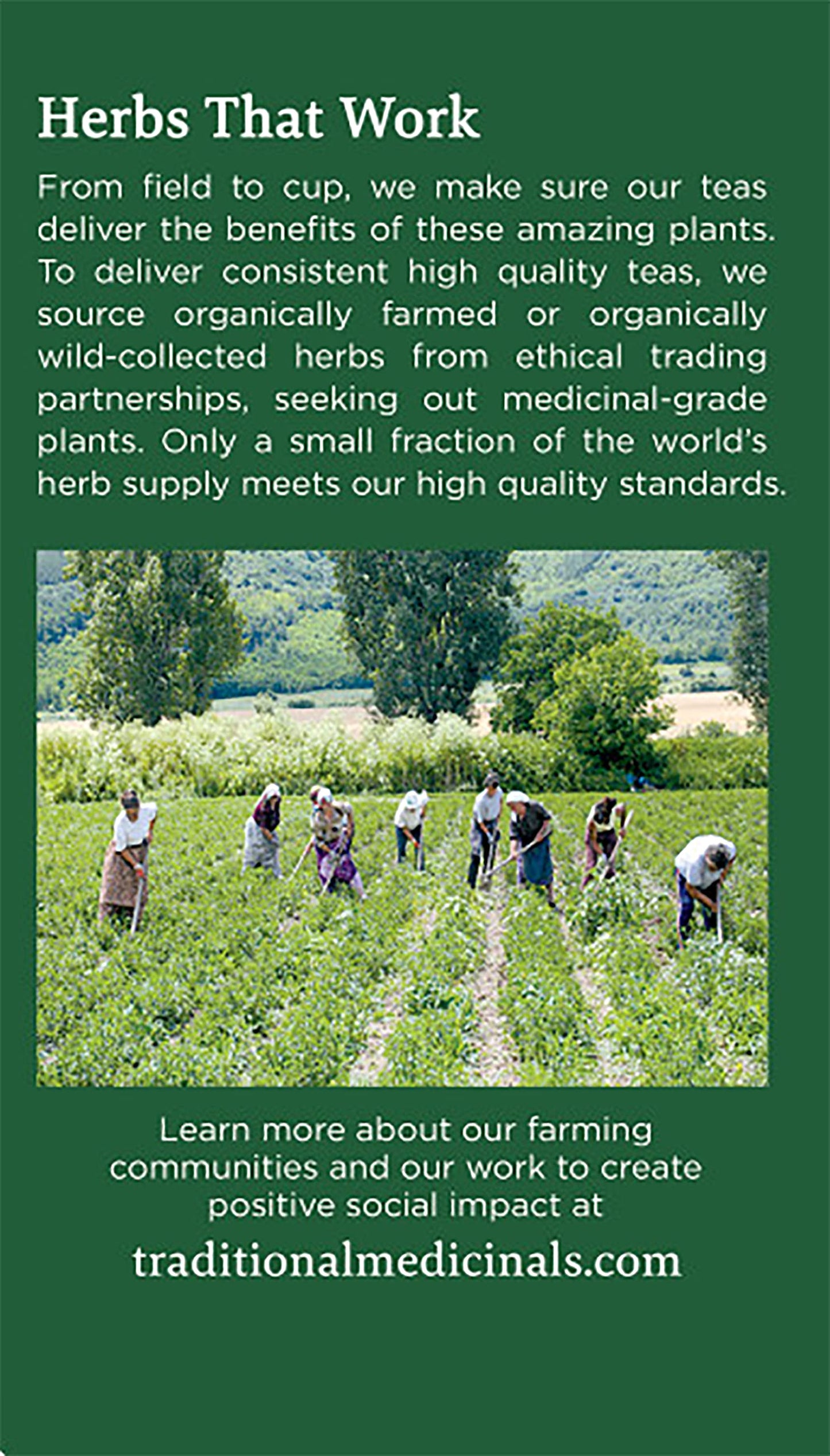 Traditional Medicinals Organic Chamomile & Lavender Herbal Tea, Settles Nervous System, (Pack Of 4) - 64 Tea Bags Total