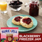 SURE-JELL Premium Light Fruit Pectin, 1.75 oz Boxes, Pack of 6, 10.5 Ounce