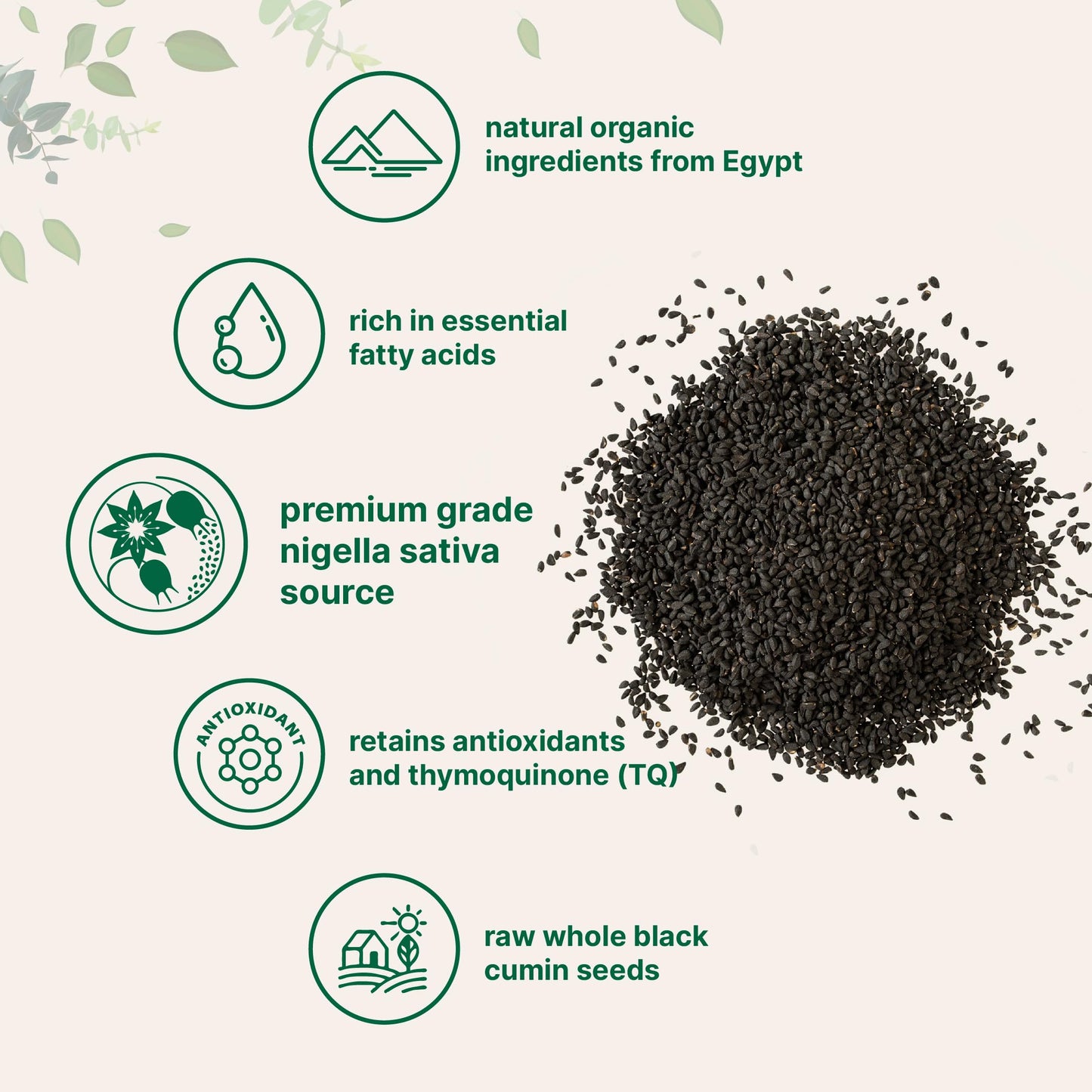 Organic Black Cumin Seed (Nigella Sativa), 2Lbs | Premium Grade Whole Black Seed From Egypt | Great For Baking, Seasoning, And Cooking | Additive Free, Non-Gmo, Bulk Supply