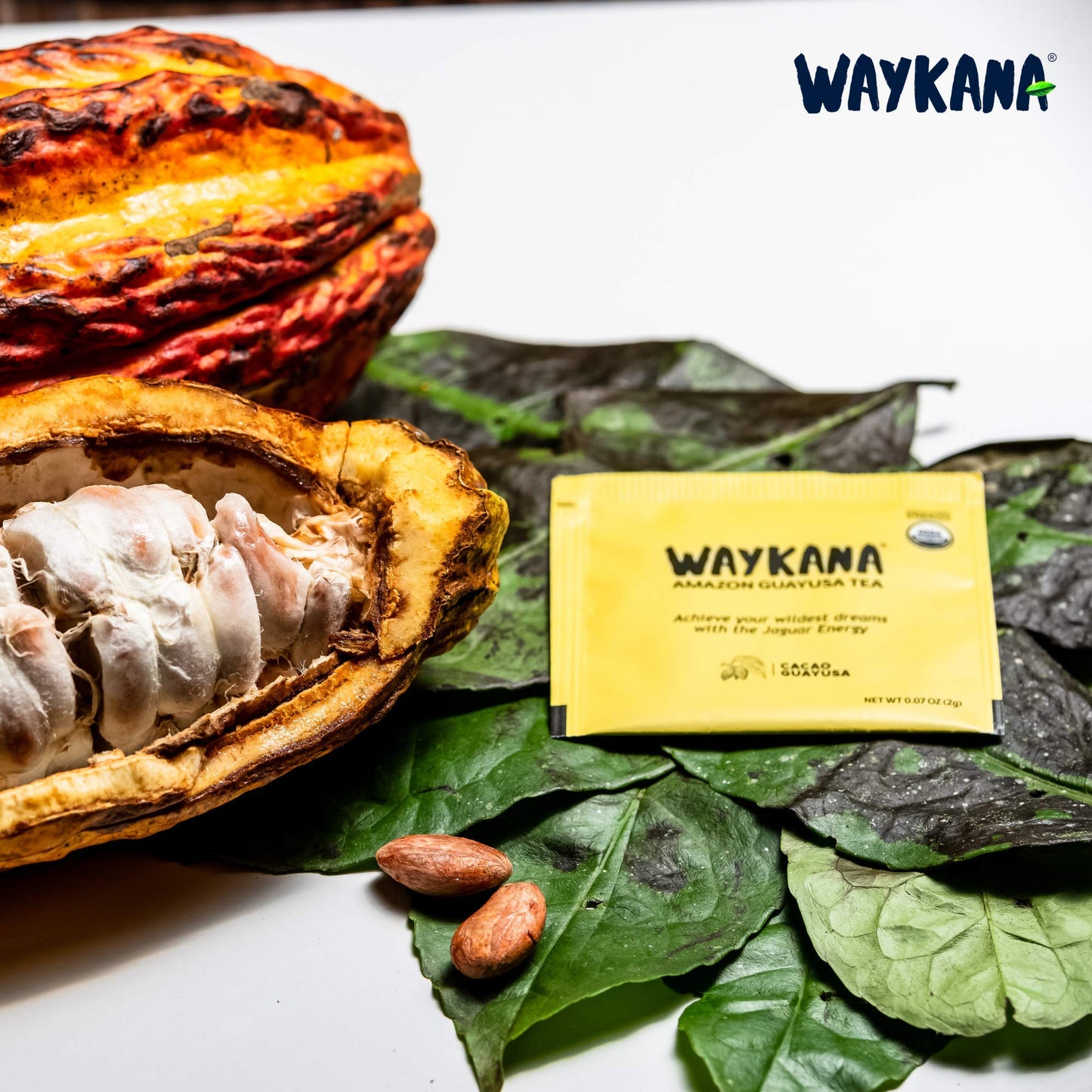 Organic Guayusa Cacao Tea Bags By Waykana, 96 Counts | Alternative To Yerba Mate, Coffee And Green Tea: Smooth Flavor No Bitter | Boost Performance, Energy & Mental Clarity