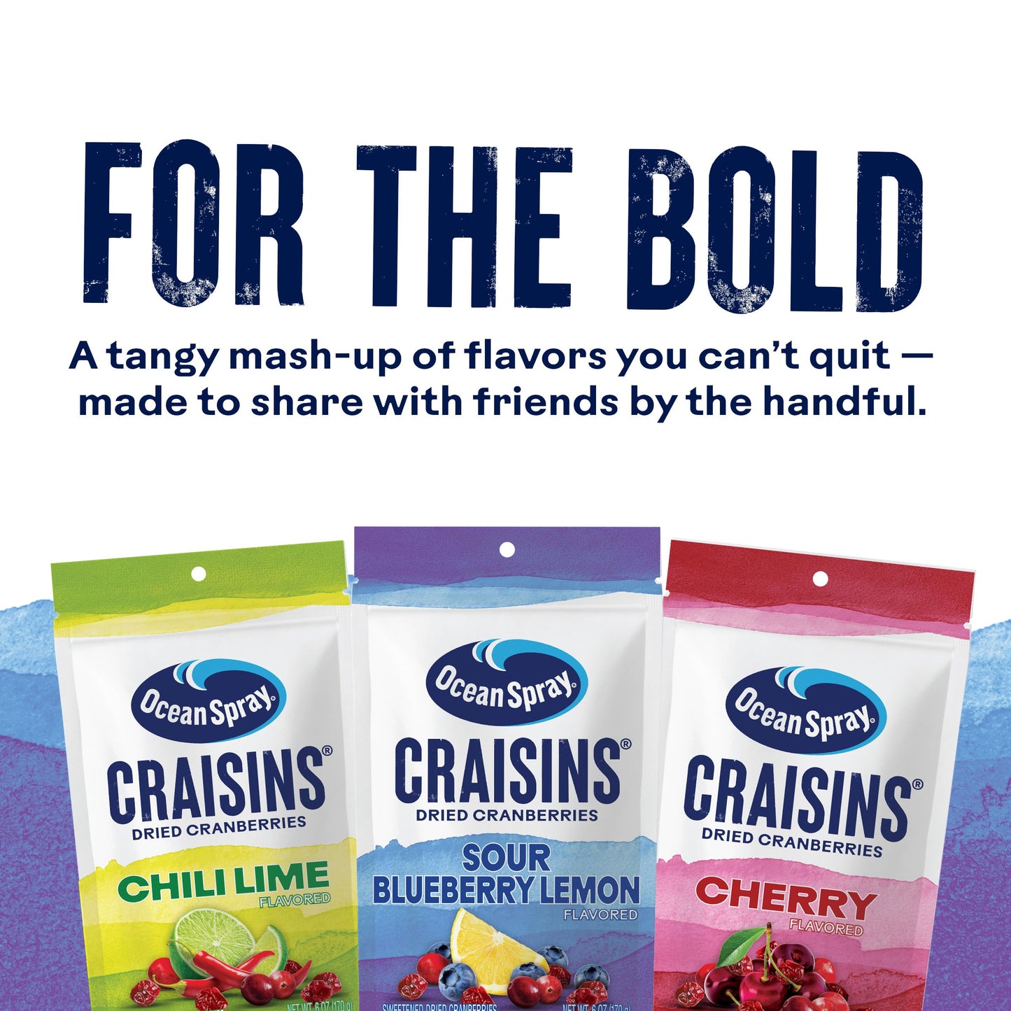 Ocean Spray Craisins Sweetened Dried Cranberries, Sour Blueberry Lemon, 6oz Pouch