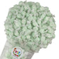 Variety Gourmet Saltwater Taffy (Spearmint, 1 Pound)